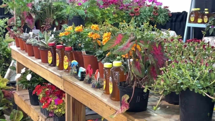 Jacksonville Home and Garden Show concludes with imaginative ideas for Mom’s Day
