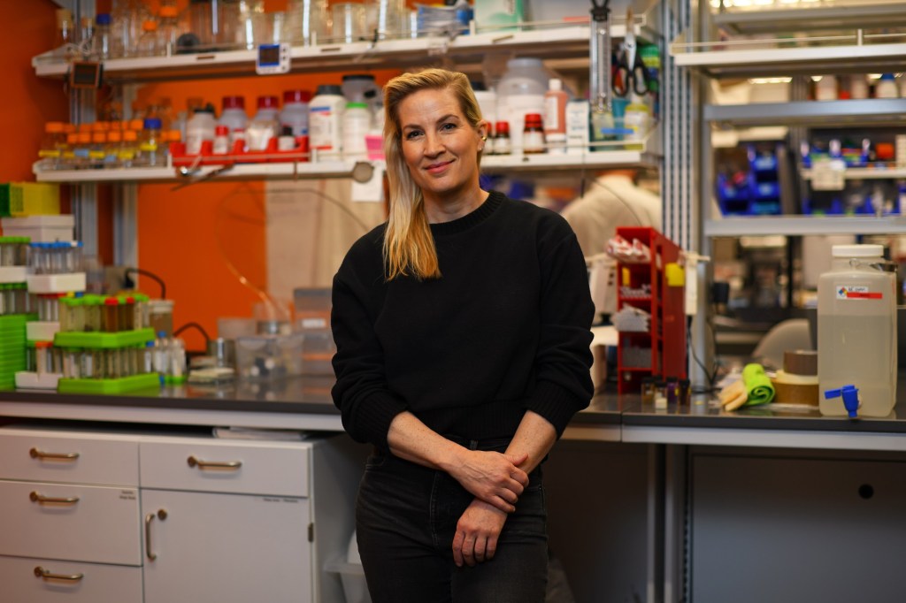 A Bay Area food-tech startup bets on seaweed saving the world