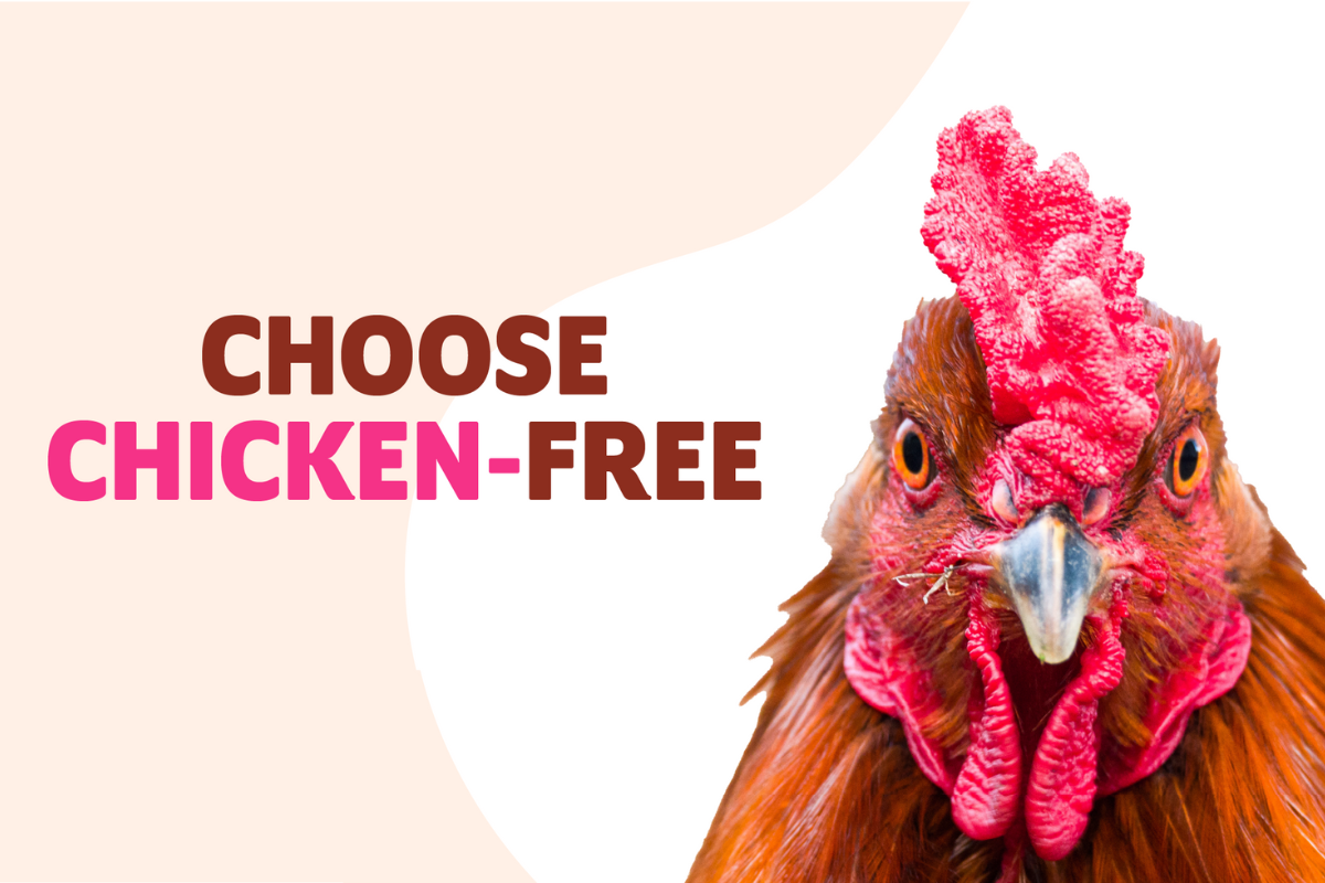 Levi Roots Backs Veganuary’s Choose Chicken-Free Week with Plant-Based Recipe