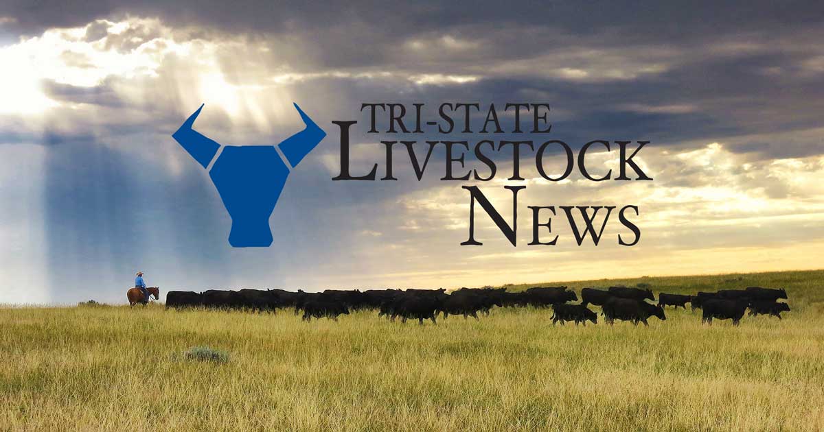 NCBA Advises FDA to Strengthen Rules for Fake Meat Advertising