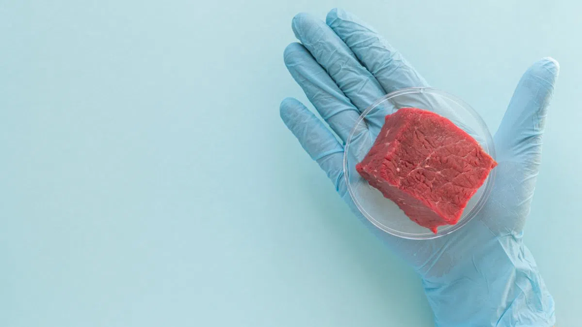 NCBA prompts FDA to strengthen rules for phony meat advertising|The Mighty 790 KFGO