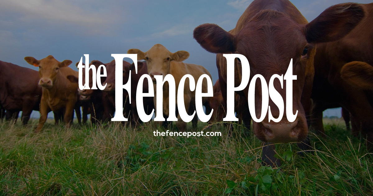 NCBA urges FDA to toughen rules for fake meat marketing