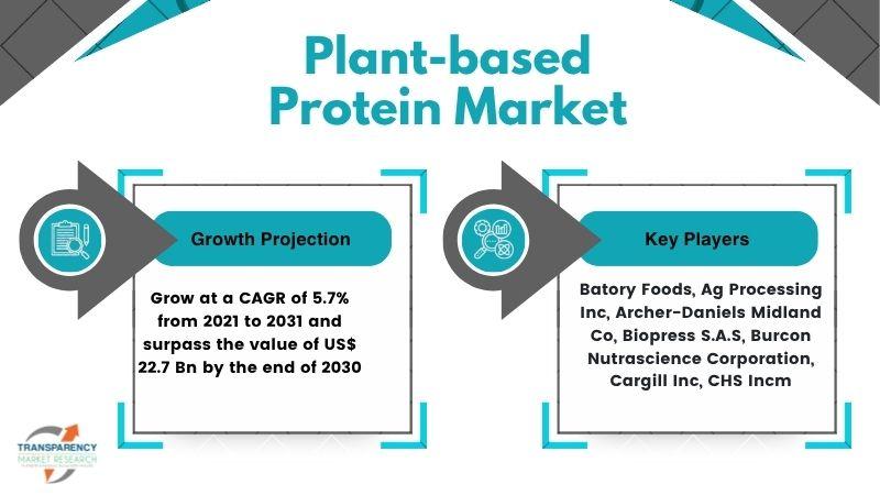 Plant-based Protein Market Global Industry Historical