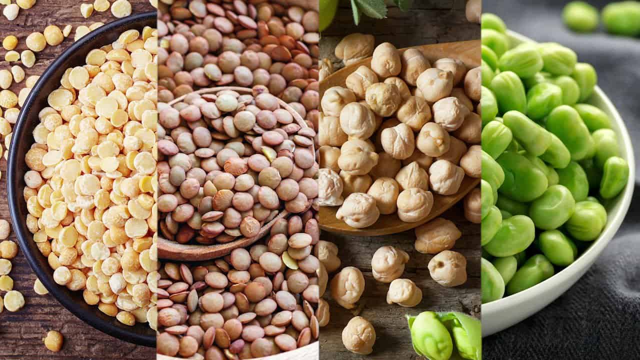 Protein Alternative Market Focused Insights 2025-2030 | Alternative Proteins Poised for Growth as Global Market to Hit USD 36.17 Billion by 2030 – ResearchAndMarkets.com – vegconomist