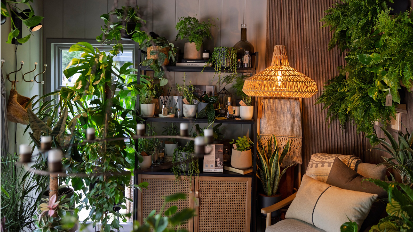 Chelsea Flower Show 2025 houseplant trends: 5 new ideas