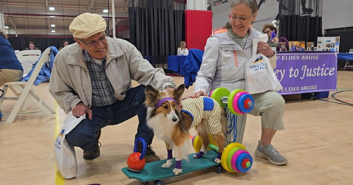 Seniors connect with resources at Health and Fitness Day in Lewisburg | News