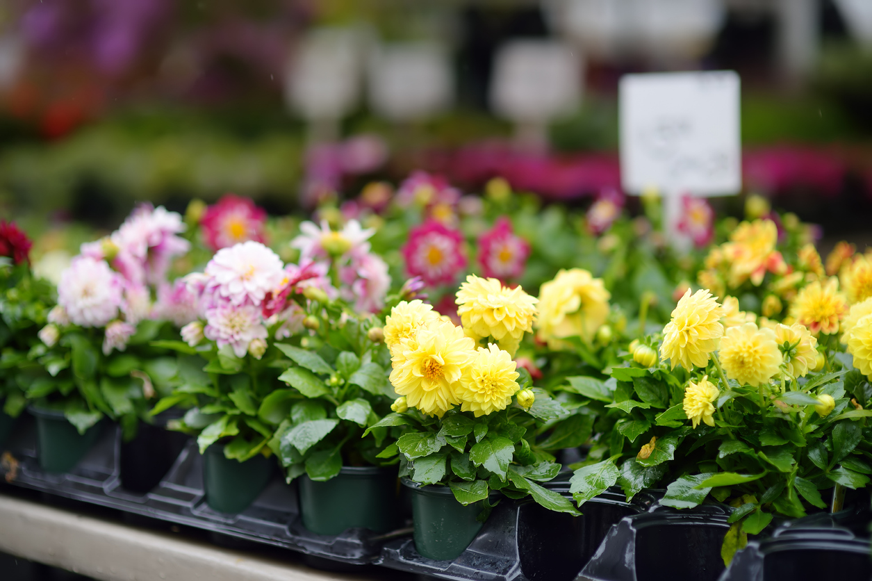 The Secret Reason You Can’t Stop Shopping The Home Depot’s Garden Center