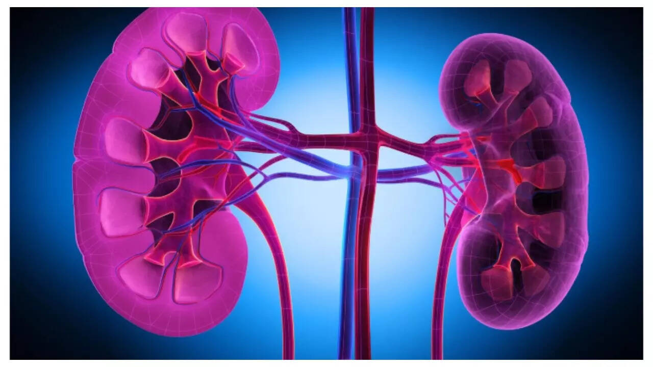 5 foods that detox your kidneys
