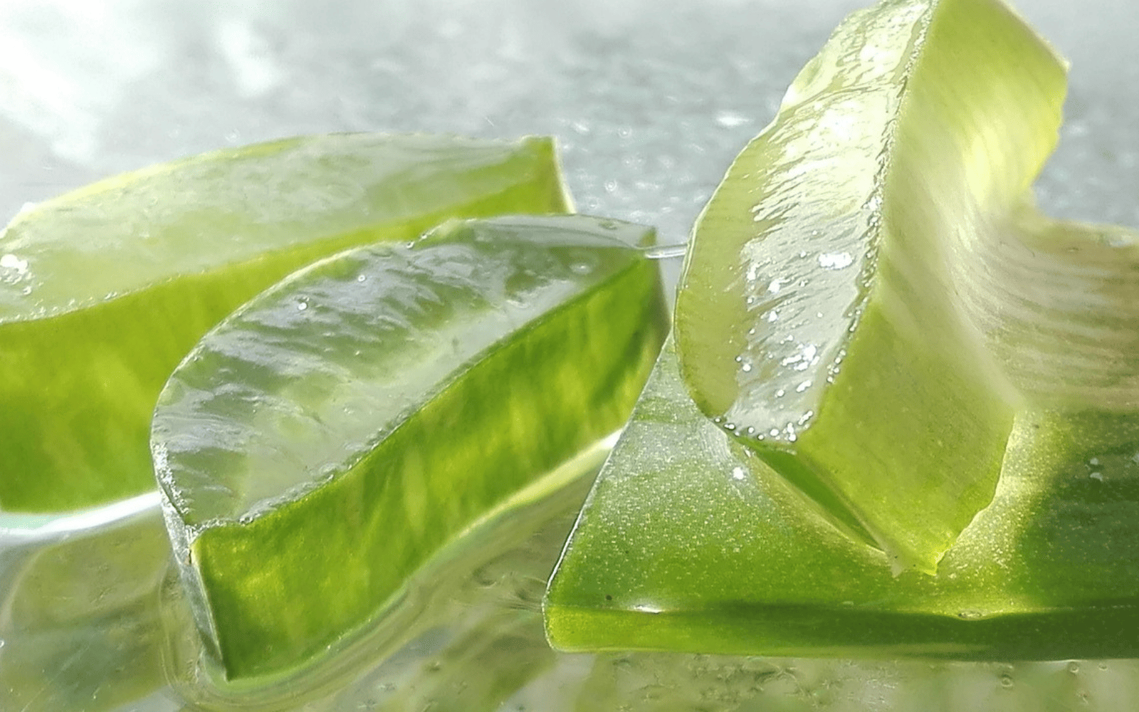 Aloe could make plant-based meat way more succulent