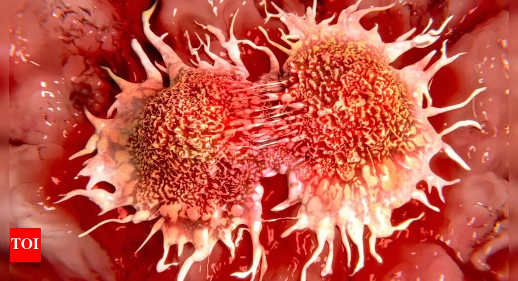 Cancer: A game-changer in cancer research? South Korean scientists reprogram tumour cells without chemotherapy or radiation |