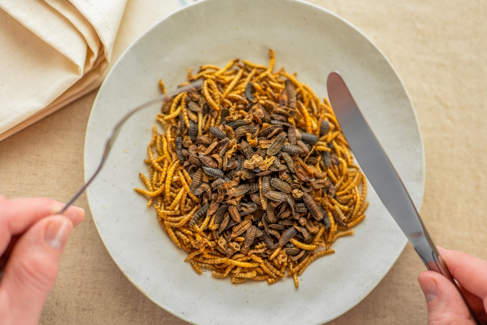 Consumer disgust will block edible insects as viable meat alternative