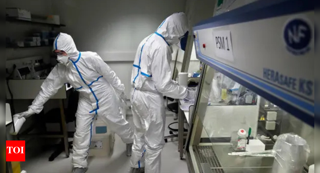 Deadly brain virus found in China bats: Scientists alarmed over 75% fatality risk |