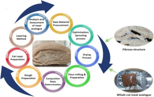 Engineering plant-based chicken substitutes: Application of fava bean (Vicia Faba) and wheat gluten blend (Triticum Aestivum) via novel layering technique