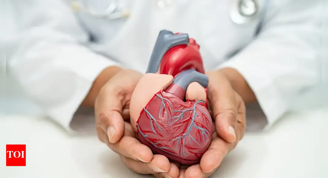 Heart Attack: 4 everyday habits that help prevent heart attacks |