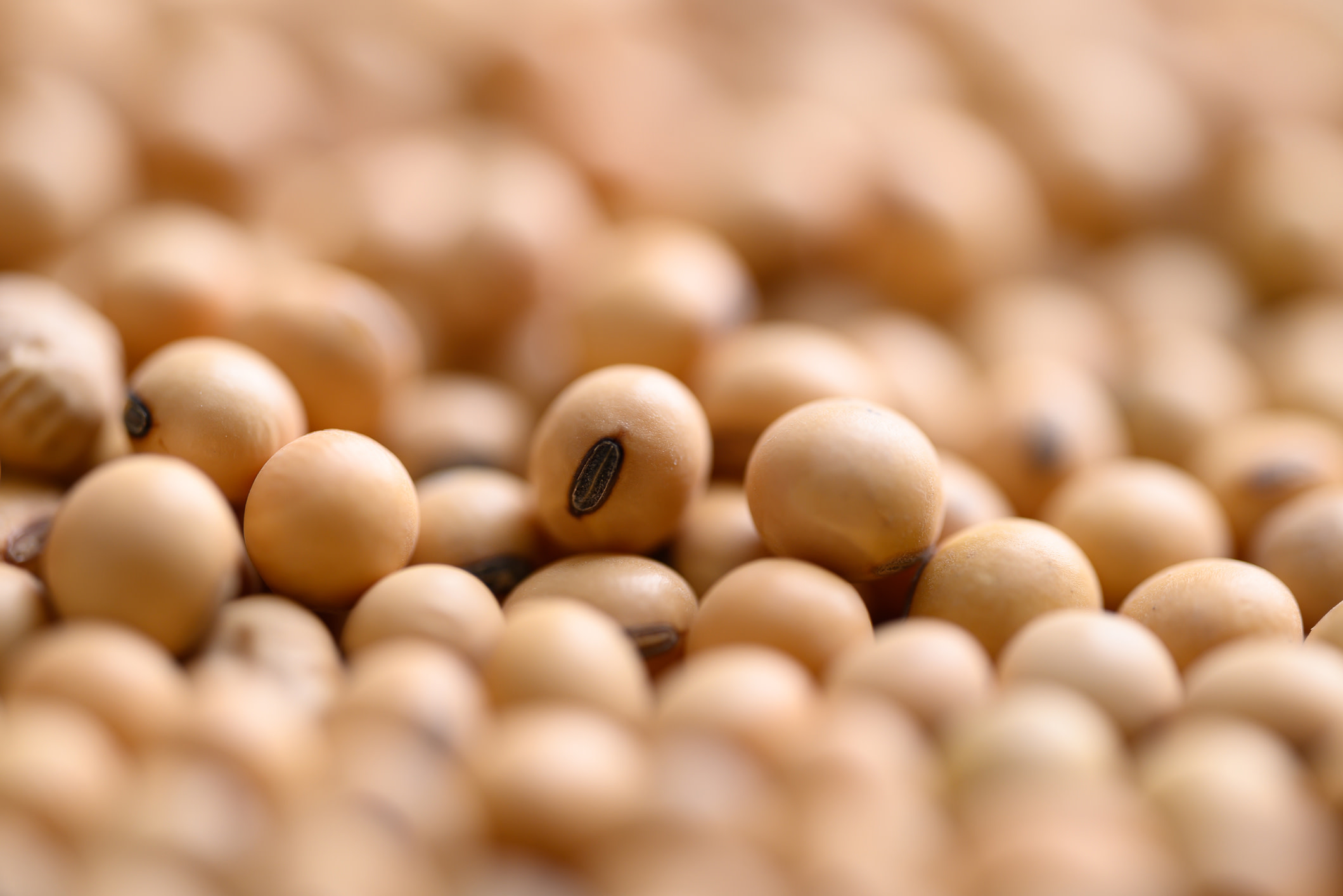 Innovative company unveils new product that could upend the food industry — here’s what’s happening
