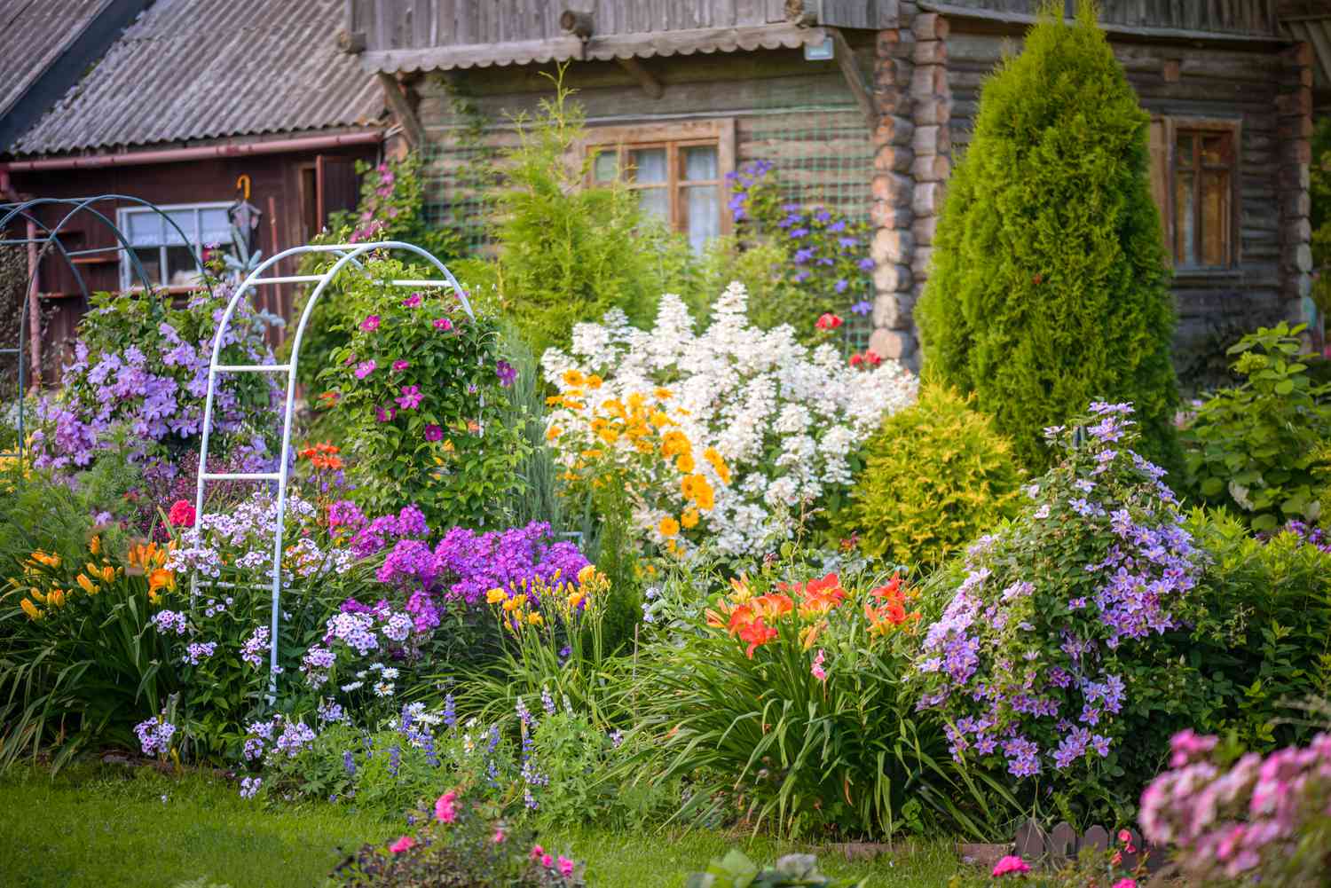 19 Garden Trellis Ideas That Showcase Climbing Plants