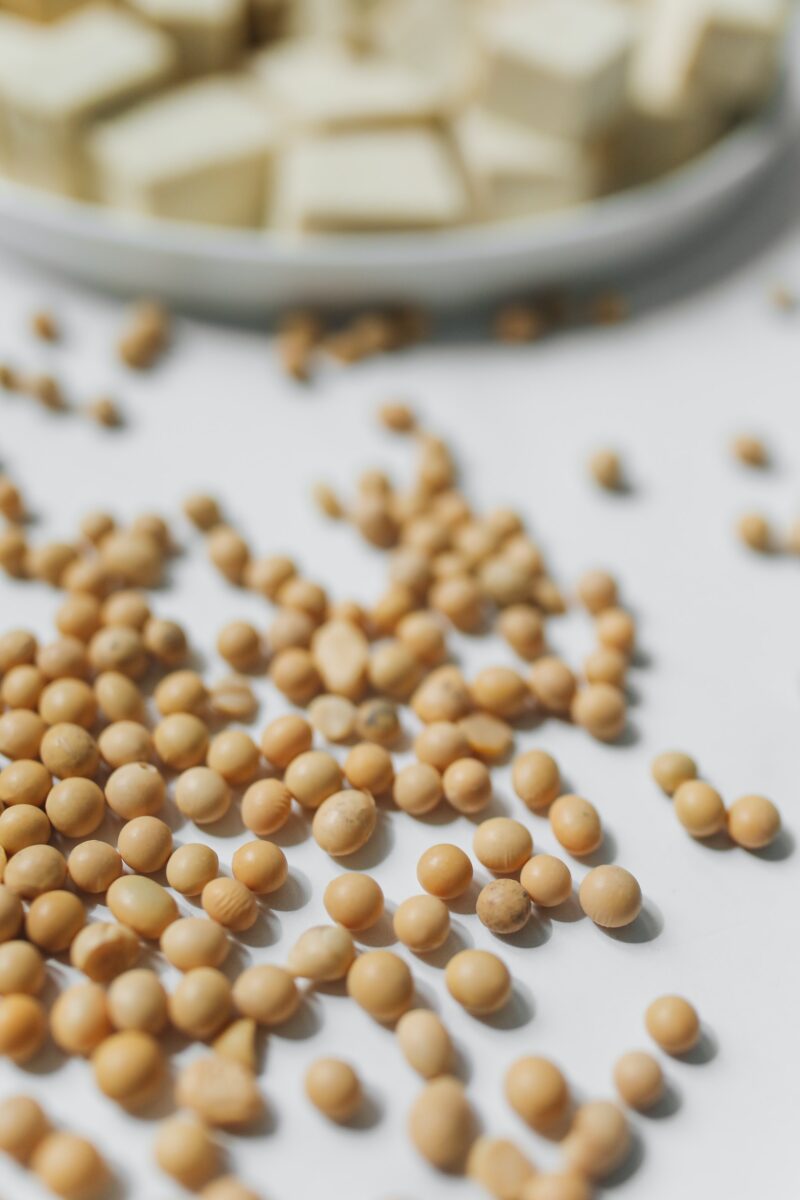 Tempeh: A More Sustainable Plant-Based Protein