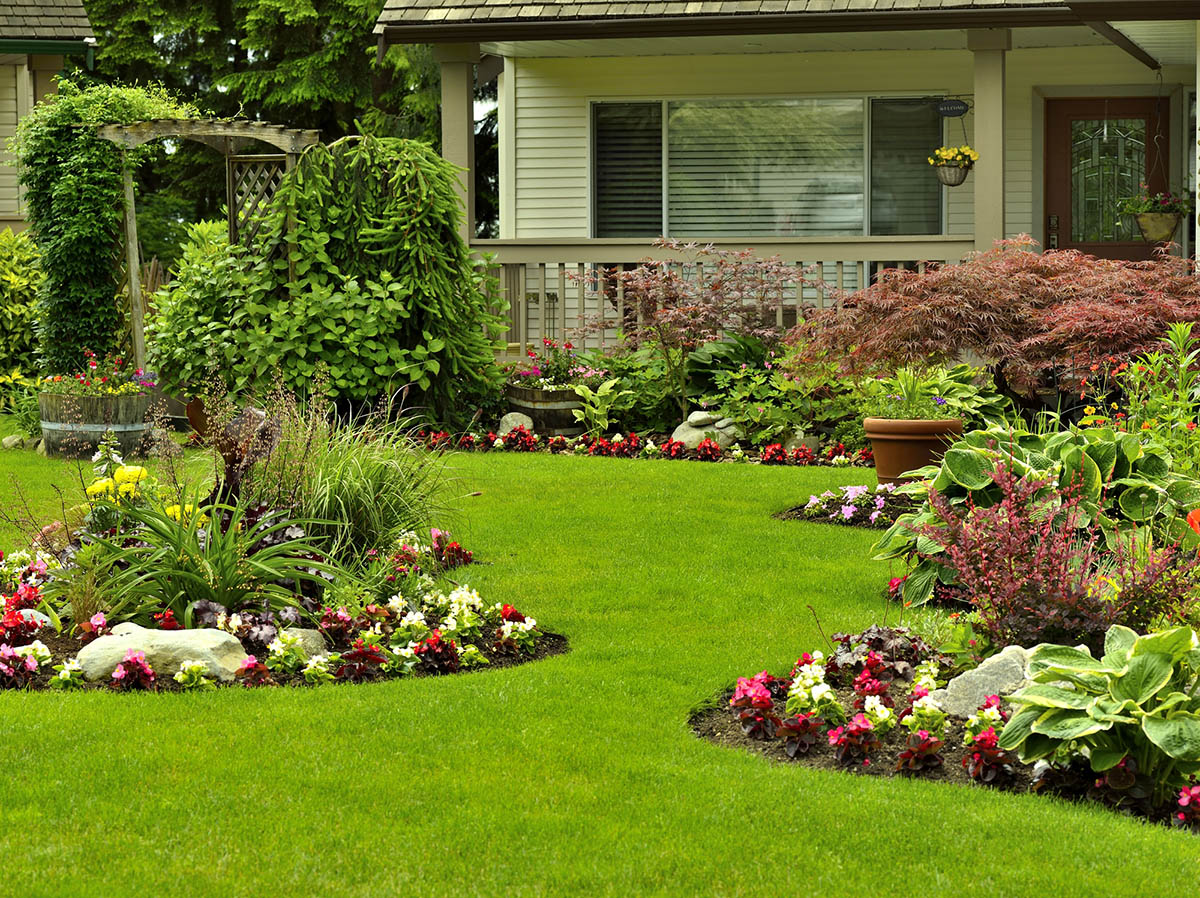 The 19 Best Places to Buy Outdoor Plants Online