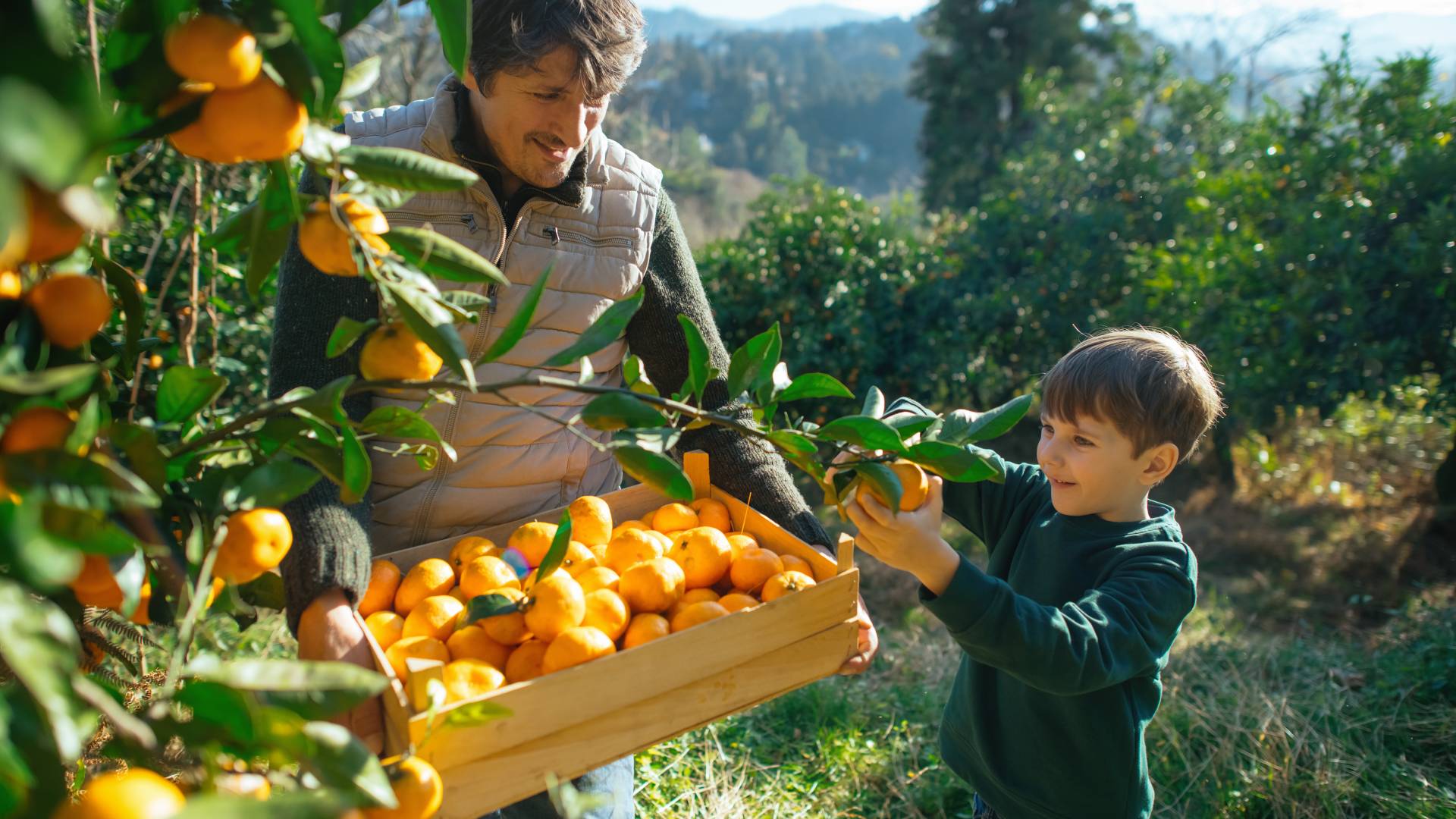 The Physicians Committee Is Assisting Farmers Who Are Growing Healthful Plant-Based Foods, and Phasing Out Animal Agriculture