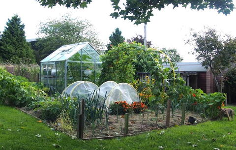 Backyard Vegetable Garden Layout | The Old Farmer’s Almanac