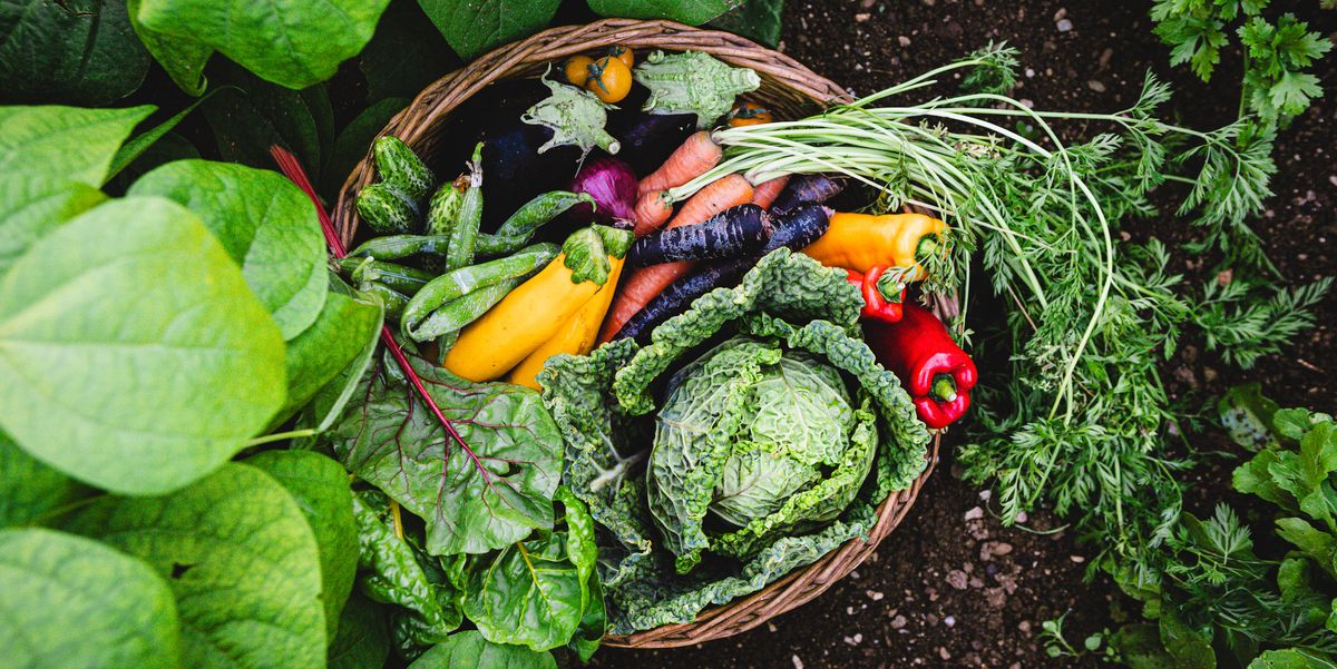 A Companion Planting Guide for Summer 2025, According to Experts