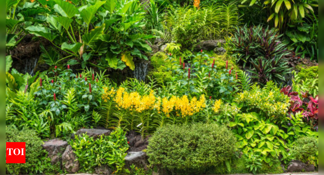 Gardeners’ guide to the Summer Solstice: What to plant (and what to protect) around June 21 |