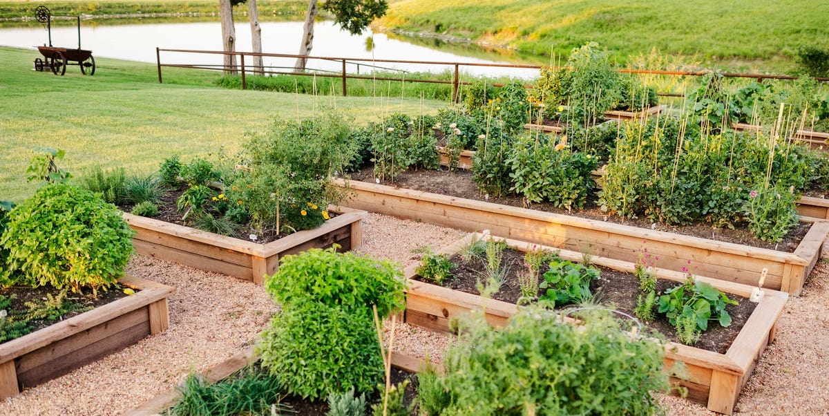 25 Best Raised Bed Ideas 2025