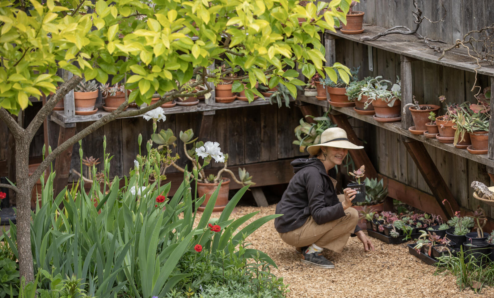 Free Eco-Friendly Garden Tour kicks of a weekend of events for home, garden lovers