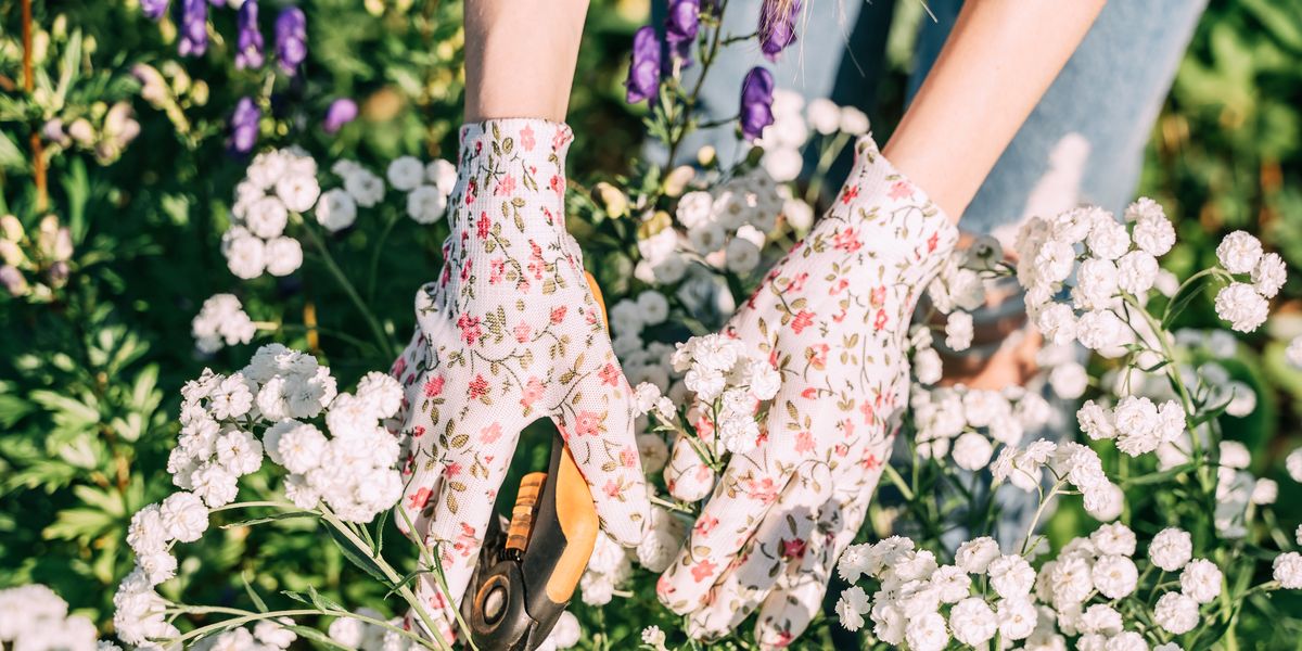 25 Best Gardening Tools to Shop Online for Every Task