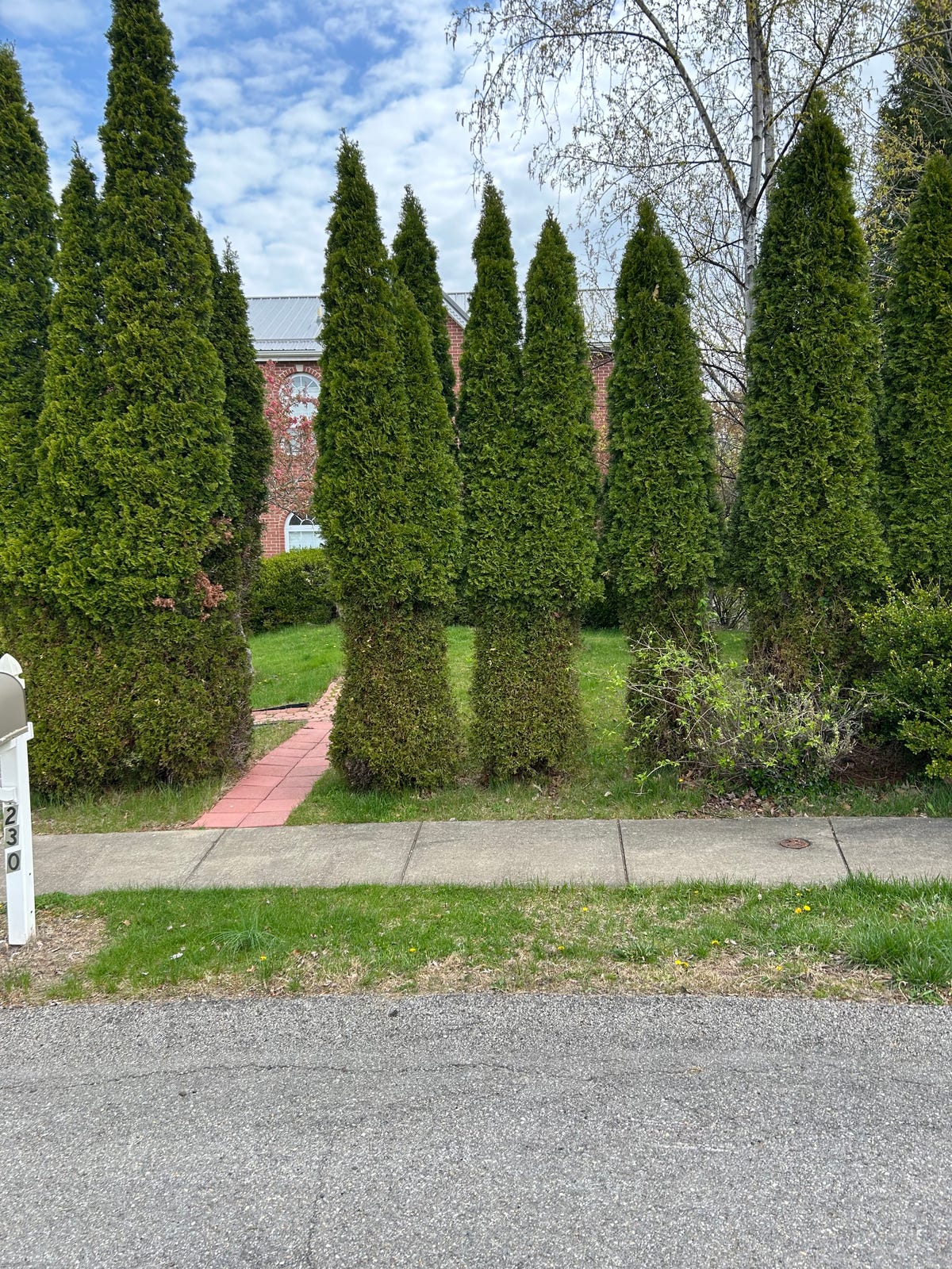 Spring 2025 questions from the garden center