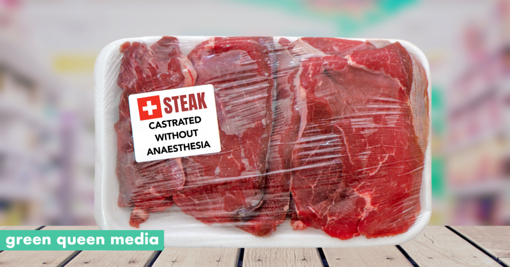 In Switzerland, Meat Labels Must Now Disclose Animal Cruelty Practices