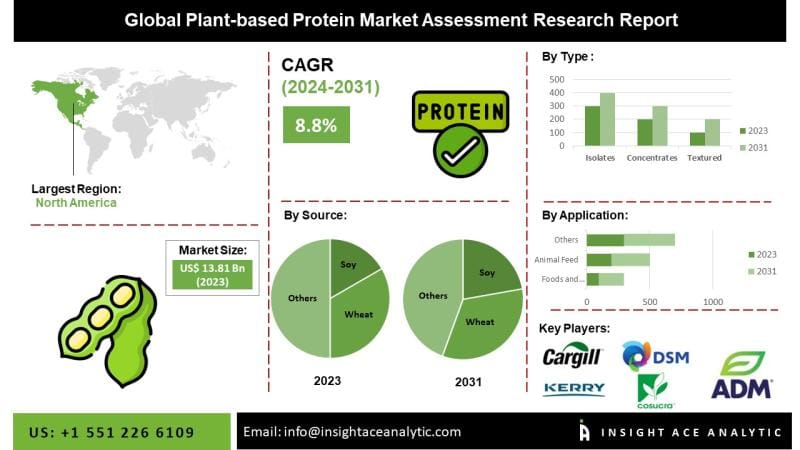 Plant-Based Protein Market Growth Accelerates with Rising
