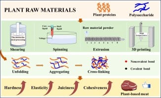 Plant-based meat: The influence on texture by protein-polysaccharide interactions and processing techniques