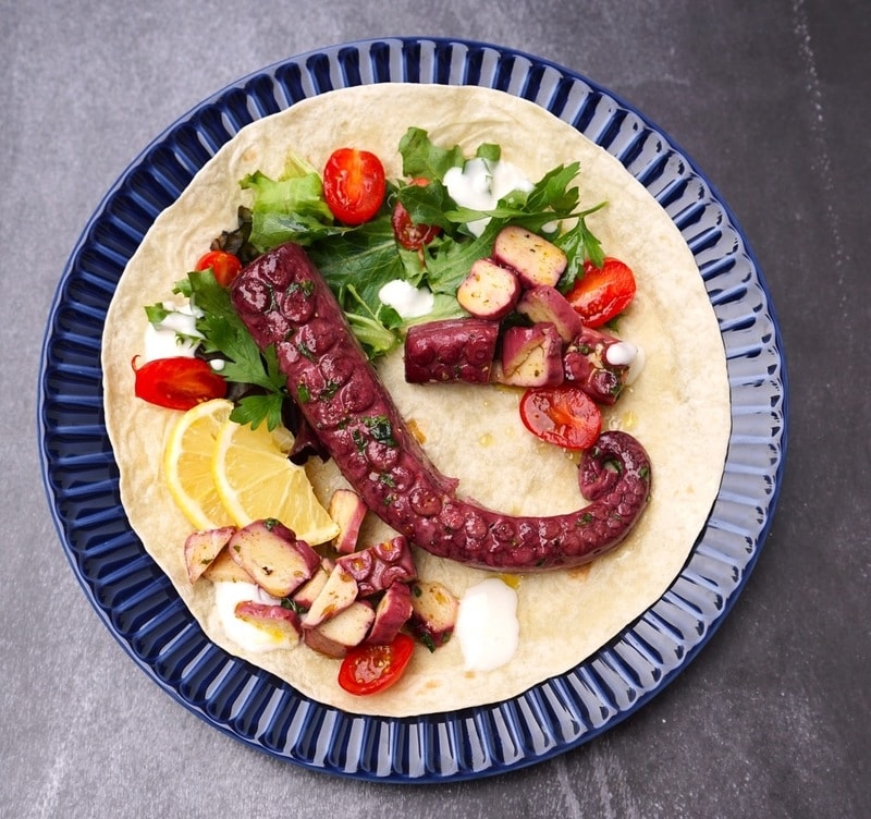 Textural Octopus Meat Alternatives : revo foods