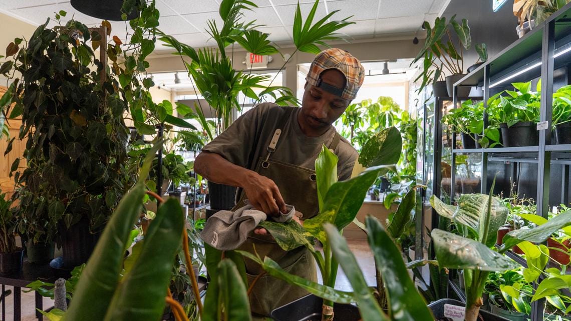 Garden of Via brings exotic houseplants to Lewiston
