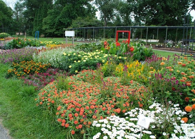 Next year’s garden ideas – Great Bend Tribune