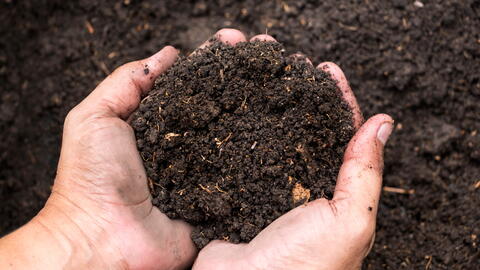 How to Prepare Garden Soil for Planting: 3 Easy Steps to Healthier Soil