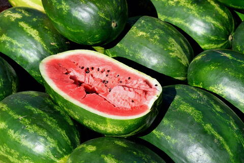 Growing Watermelons: How to Plant and Grow Watermelons at Home