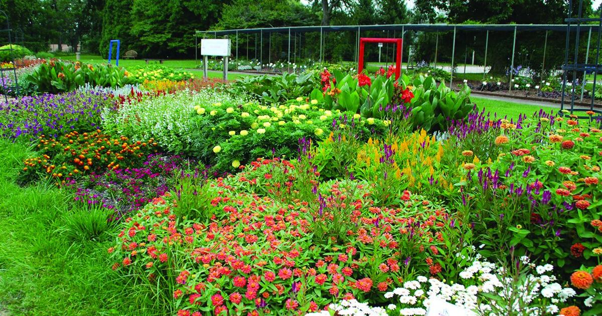 Gathering ideas for next year’s garden | Your Home