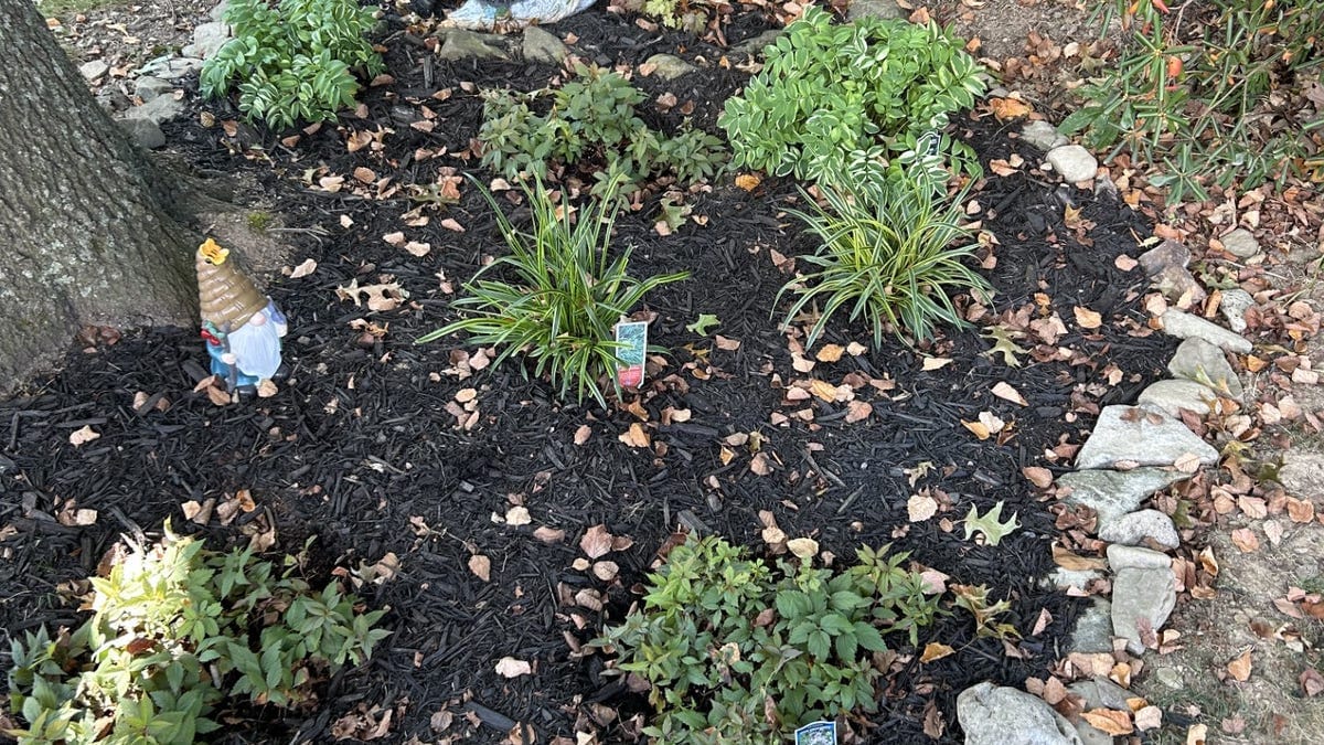 Questions from the Garden Center