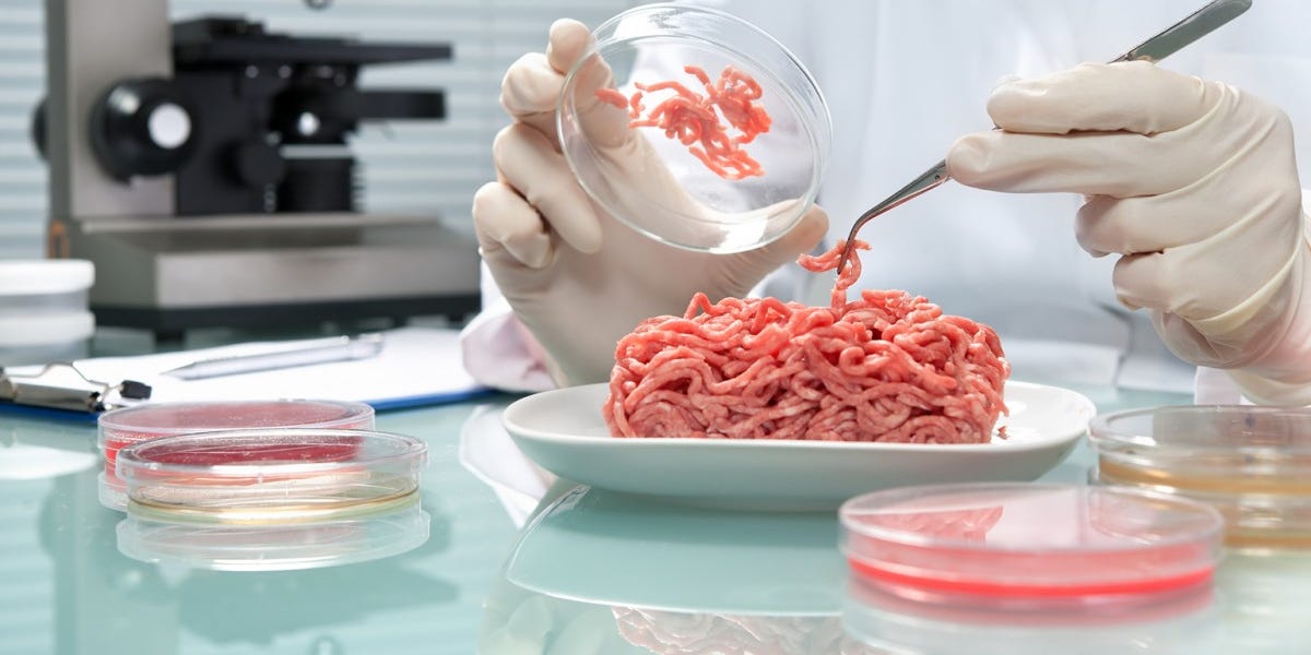 Banning lab-grown meat is stupid
