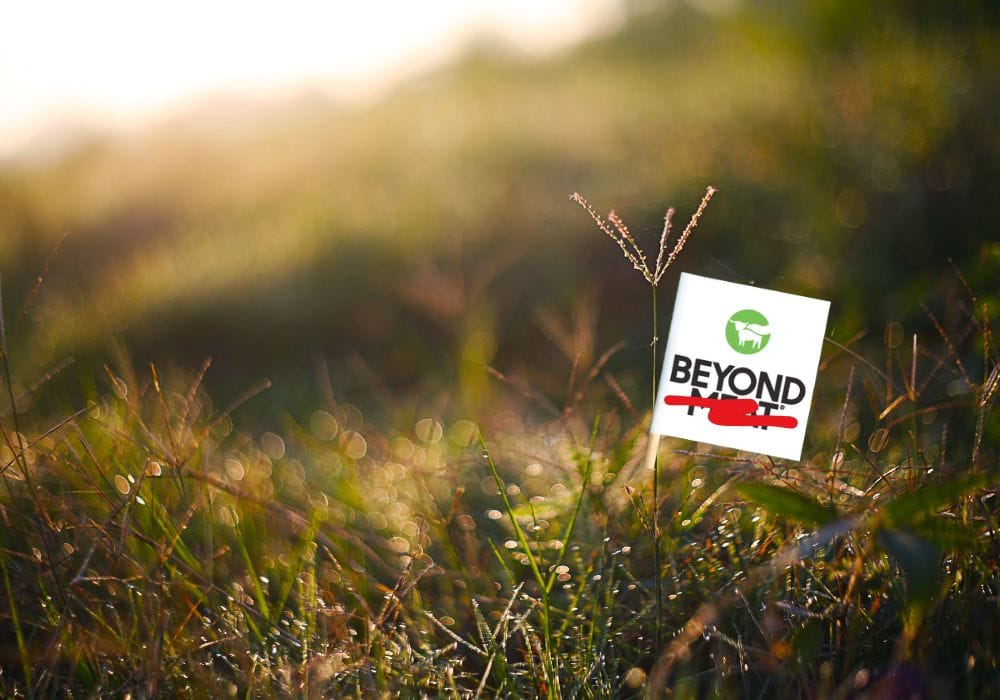 Beyond Meat drops ‘meat’ in rebrand that shifts focus to plant protein