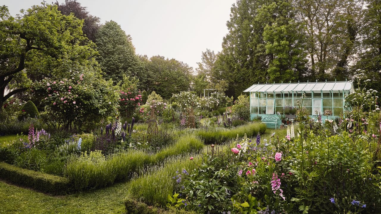 Cheap garden ideas: How to make your gardening budget go further