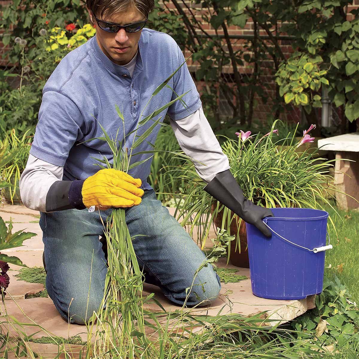 The Ultimate Guide to a Weed-Free Landscape — The Family Handyman