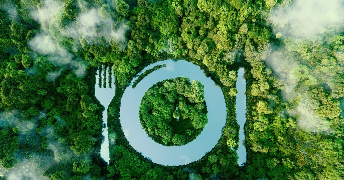 Meat alternatives need to improve marketing