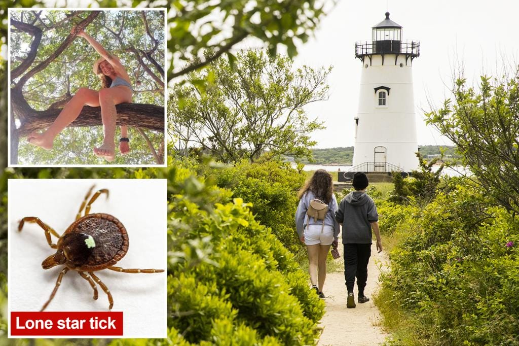 Tick bites on Martha’s Vineyard are forcing residents to go vegan because of alpha-gal syndrome