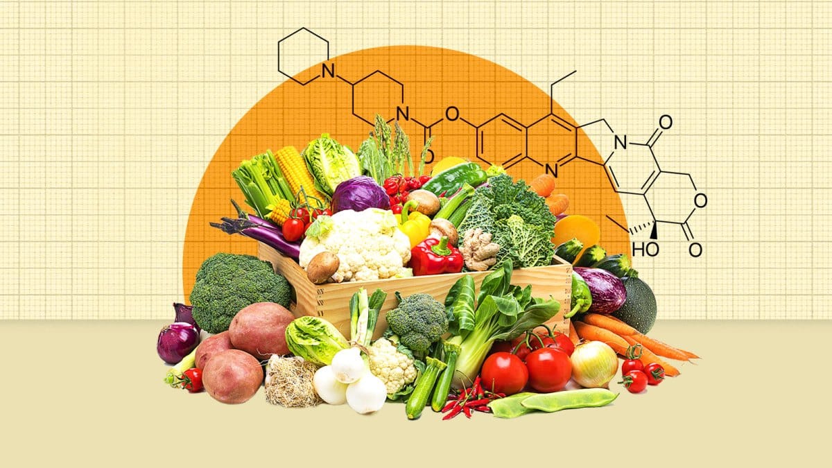 Vegetarian and vegan diets ‘cut cancer risk by up to a quarter’