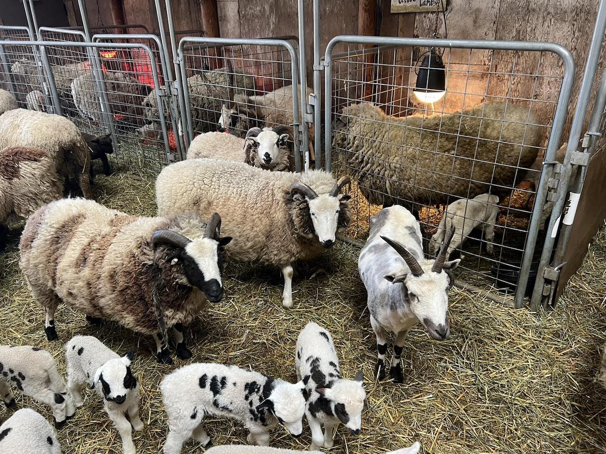 Waldoch Farm Garden Center Open House Event April 26 and 27