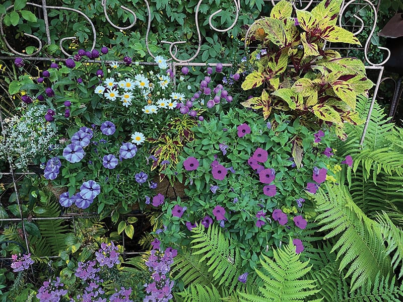 Public and Private Garden Tours in Metro Detroit