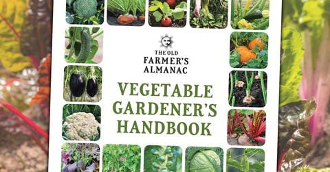 The Vegetable Gardener’s Handbook from The Old Farmer’s Almanac